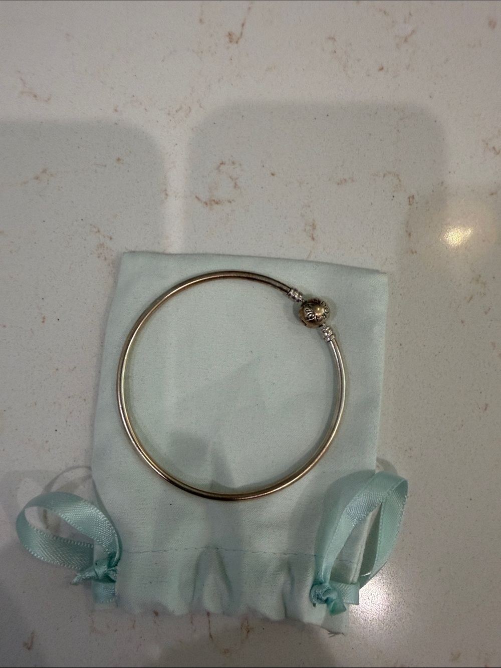 Pandora Bangle Charm Bracelet